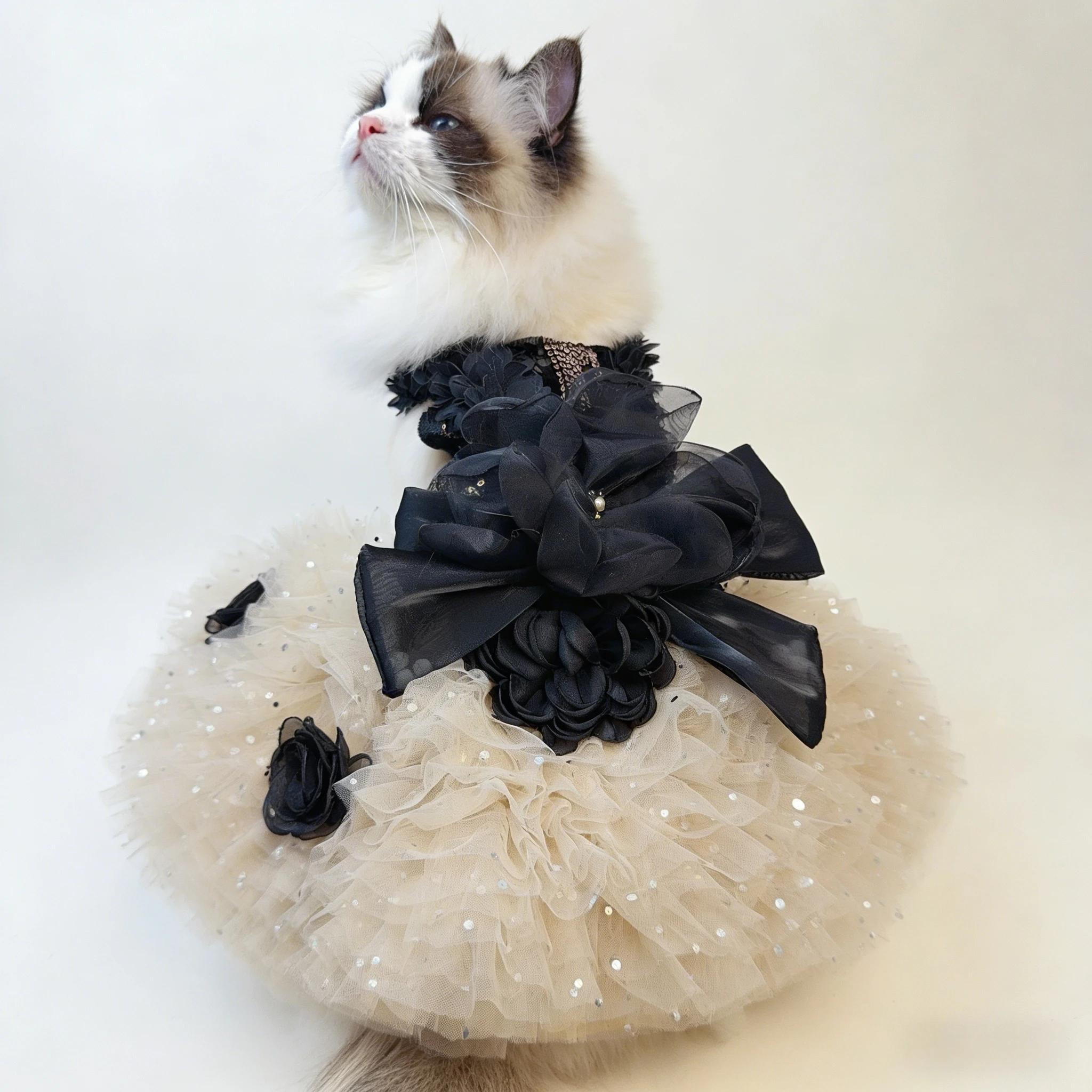 

Модное сексуальное черное кружевное платье-слинг для маленьких и средних собак, одежда для щенков в стиле принцессы, для чихуахуа