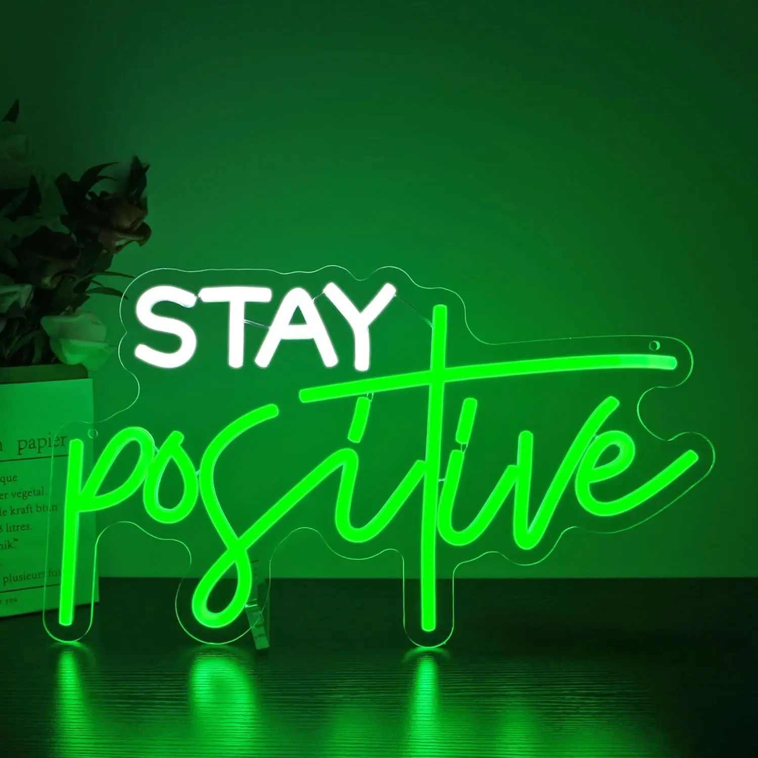 Stay Positive Neon Sign USB Dimmable LED Light for Fitness Club Gym Gaming Room Bedroom Decoration neon personnalisé Gift