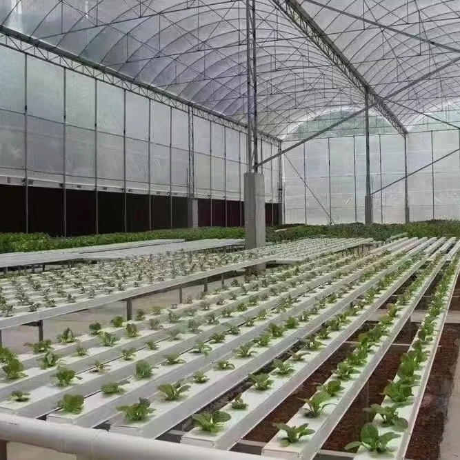

Customized greenhouseCommercial NFT hydroponic system Greenhouse with automatic smart control system