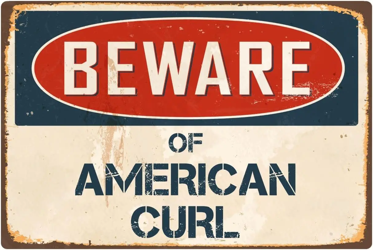 StickerPirate Beware of American Curl 8” x 12” Vintage Aluminum Retro Metal Sign VS014 sign
