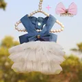 Dress and Clips 4