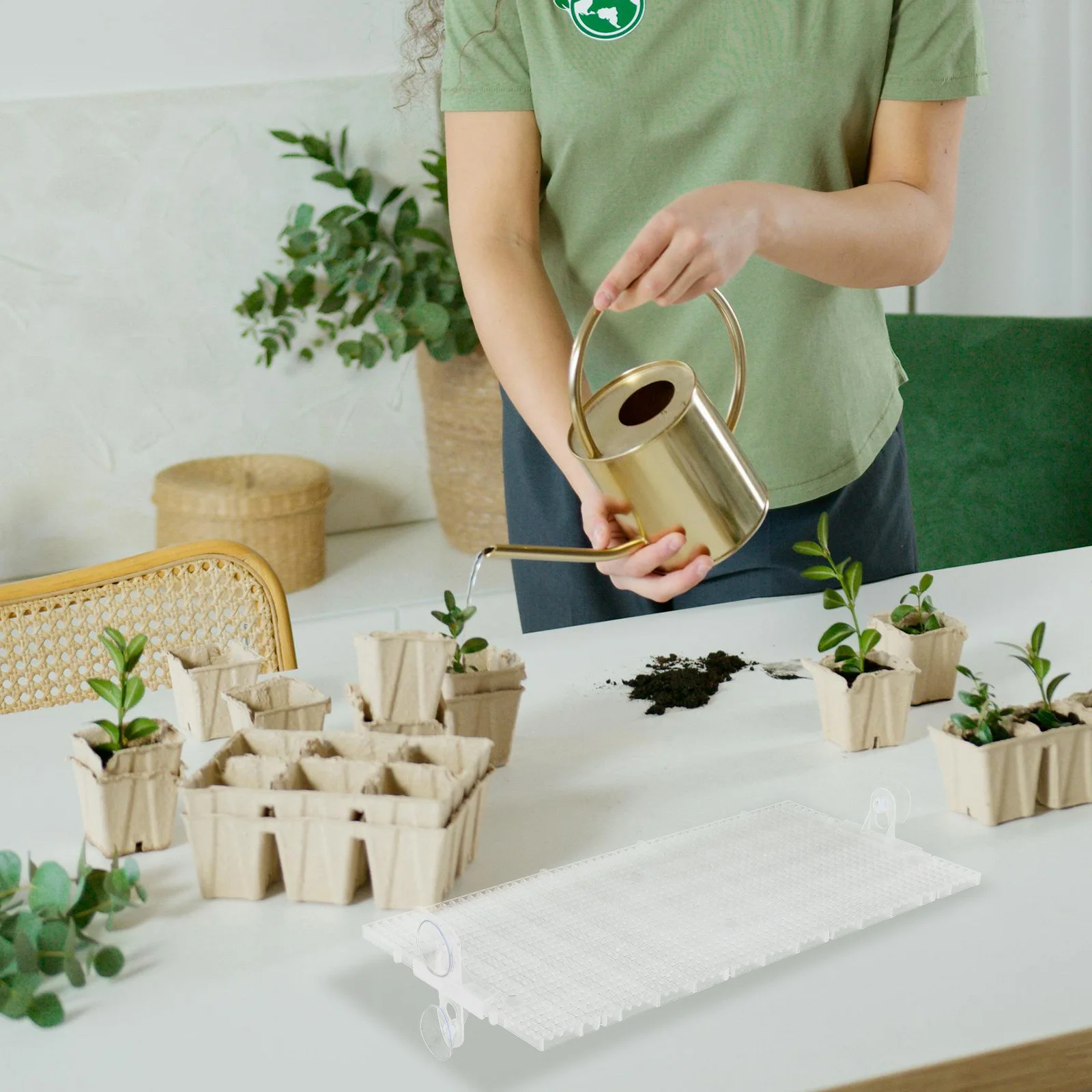 

1Set Planter Base Tray Transparent Grid Panel for Healthy Plant Growth with Clips and Feet Planter Liner Tray for Balcony Indoor