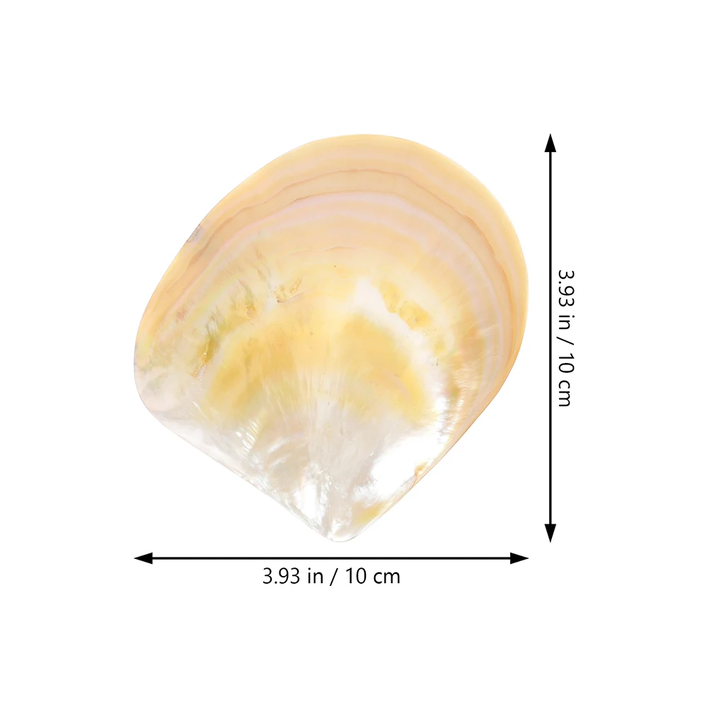 

Seashell Caviar Dish Plates Safe Premium Material Home Kitchen Supplies Snack Tray Tableware Food Serving Dessert Salads