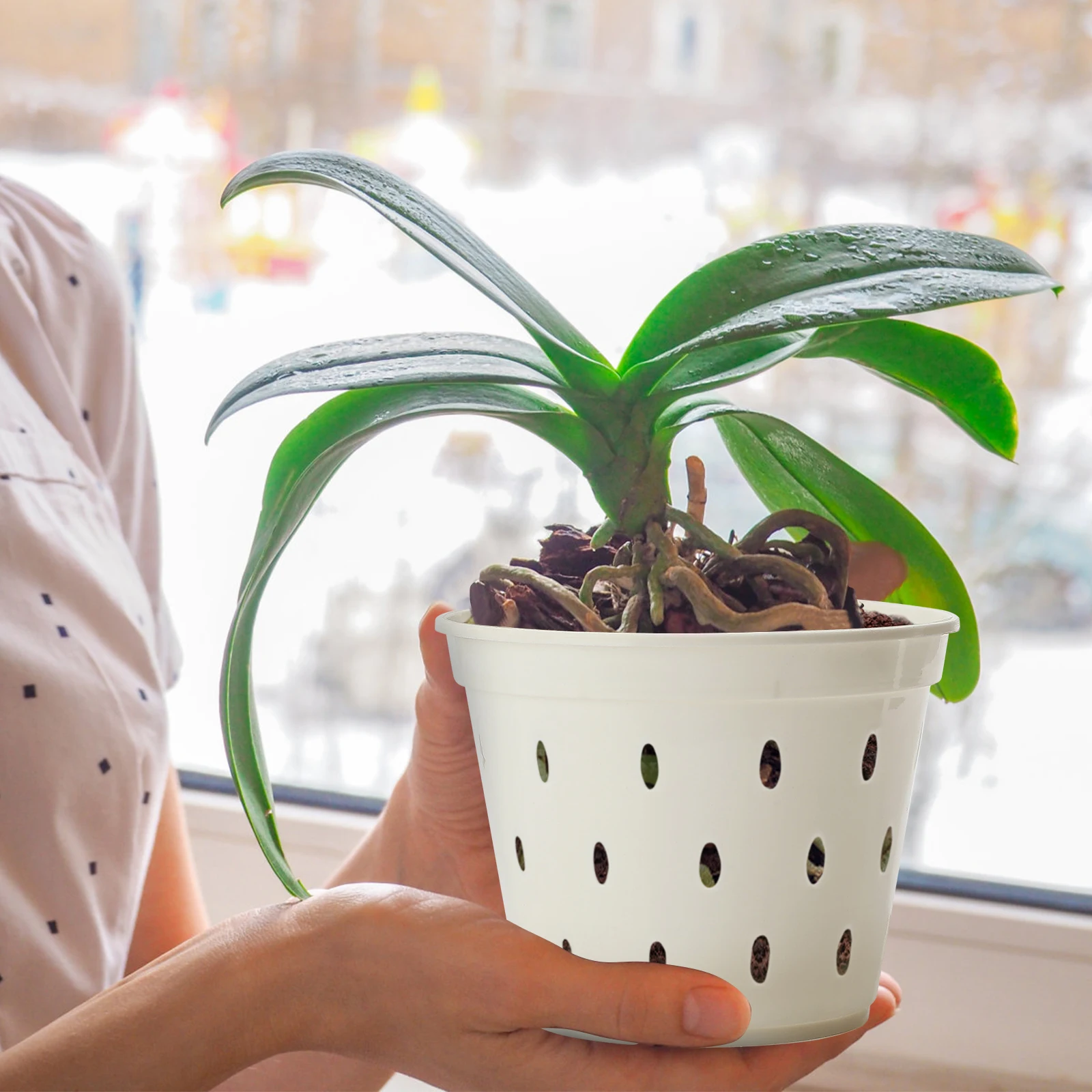 D9 Set Of 5 White Orchid Pots Flowerpot With Trays 5x Transparent Seedling Cups For Moth Orchids Includes Trays Pots for Plants