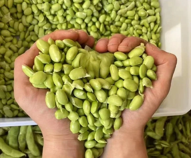 

Commercial Grade Edamame Sheller Machine for Large Scale Peeling Tasks