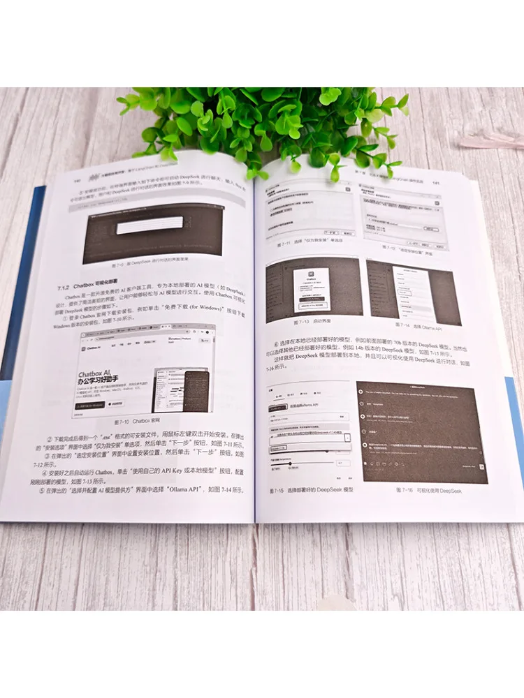 Book-Winshare Large Model Application Development Based on Langchain and Deepseek