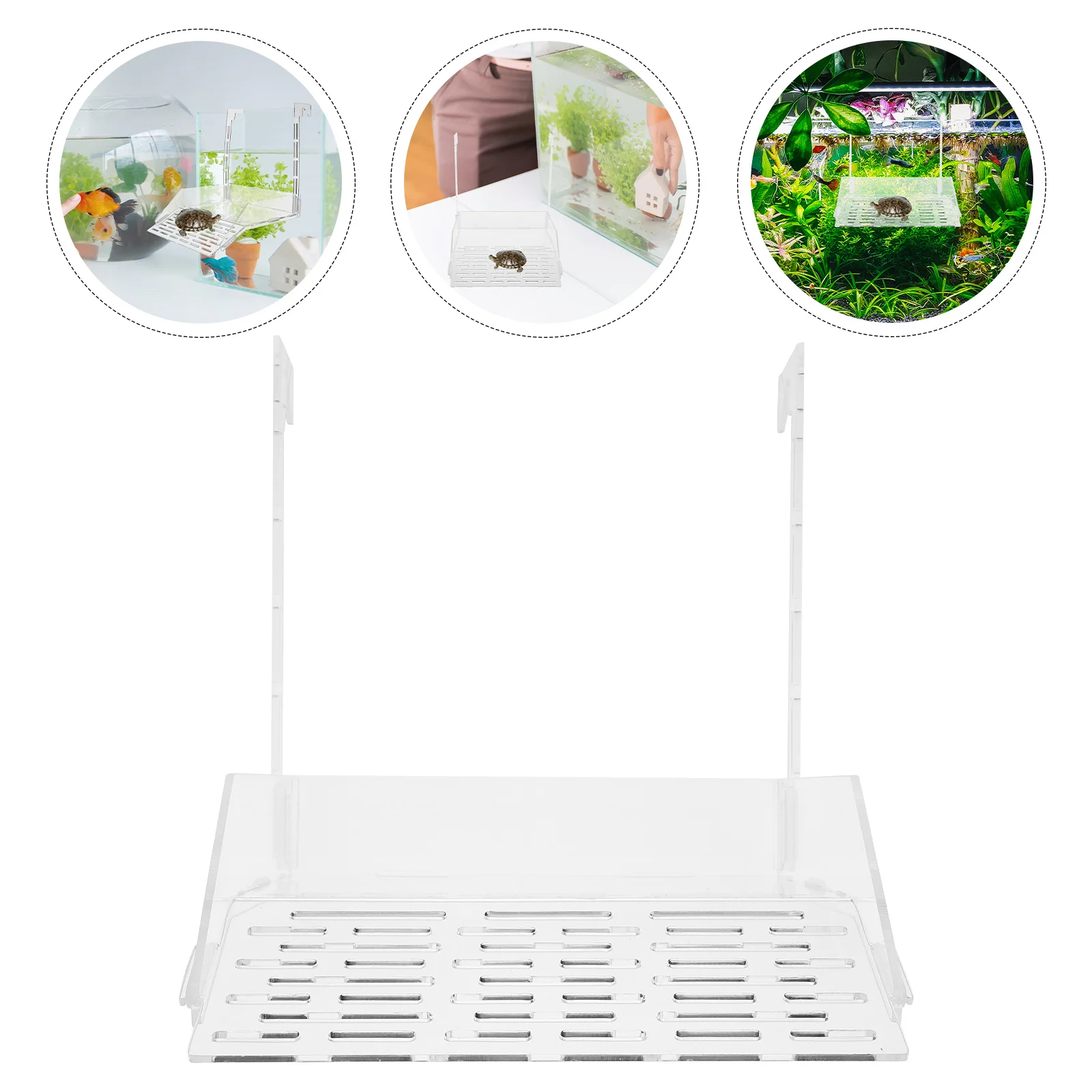 

Turtle Basking Area Tortoise Habitat Accessories Floating Dock Reptile Climbing Ramp Platform Tank Hanging