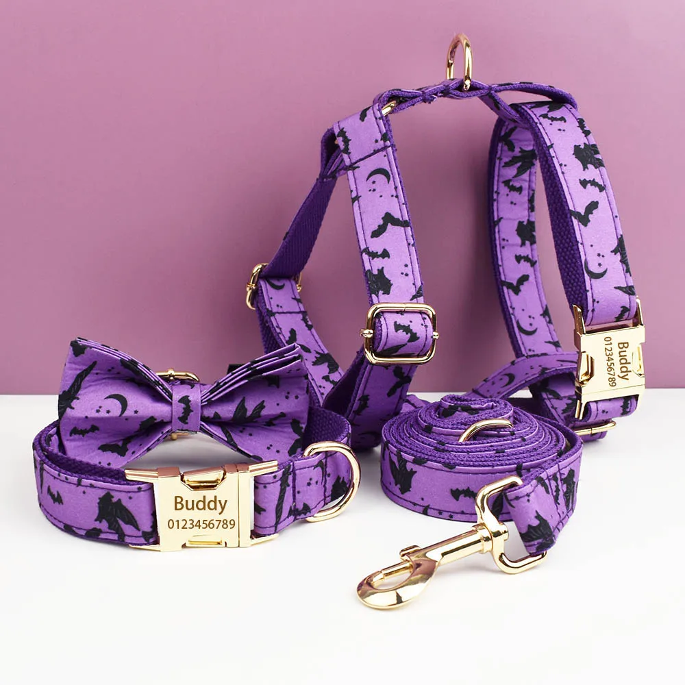 Collier personnalisé pour chien avec gravure gratuite, étiquette d'identification pour la fête des Saints, ensemble d'accessoires pour animaux de compagnie avec laisse et harnais assortis
