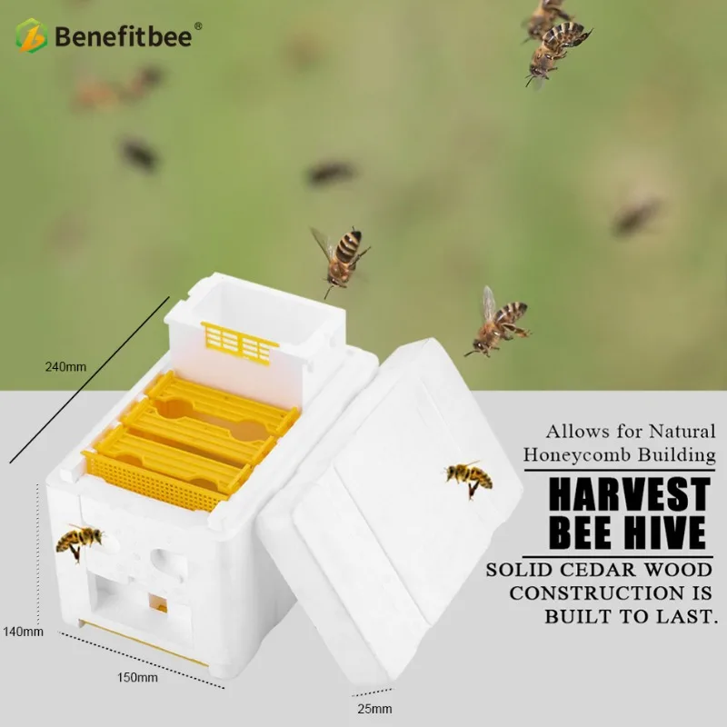 herramientas-y-equipos-de-apicultura-cajas-de-apareamiento-cajas-de-cria-de-abejas-cajas-nuc-colmenas-de-poliestireno