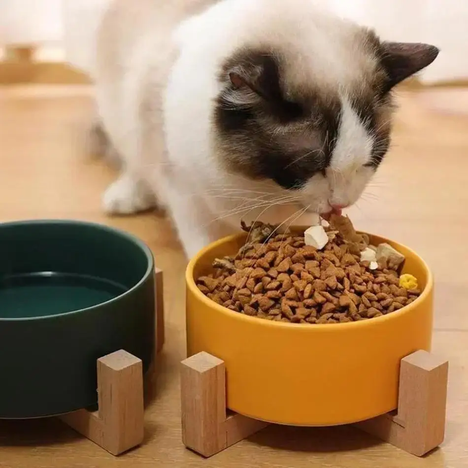 Comedero y bebedero cerámico para perros y gatos – Estante de madera