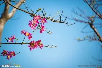 1/5/10 Uds 3,7g GHS-37D Servo Digital Mini Micro Servo para RC avión Trex 250 helicóptero barco Coche