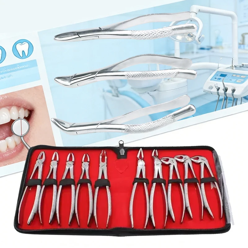 Dental Extraction Forceps Adult Tooth Removal Root Extraction Pliers Surgical Steel Oral Instrument