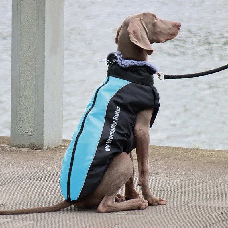 Ropa impermeable para mascotas, abrigo para perros grandes, chaquetas cálidas de terciopelo para exteriores, arnés para caminar para perros medianos