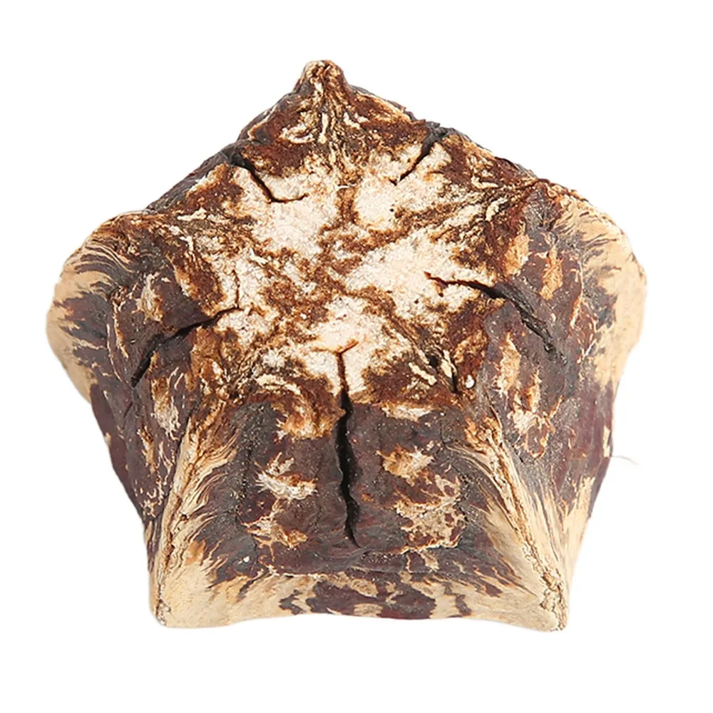 60pcs Pure Mahogany Bird Chewing Blocks Five Pointed Star Shape Sliced Pods Craft Bird Bite Nuts Decorative Design