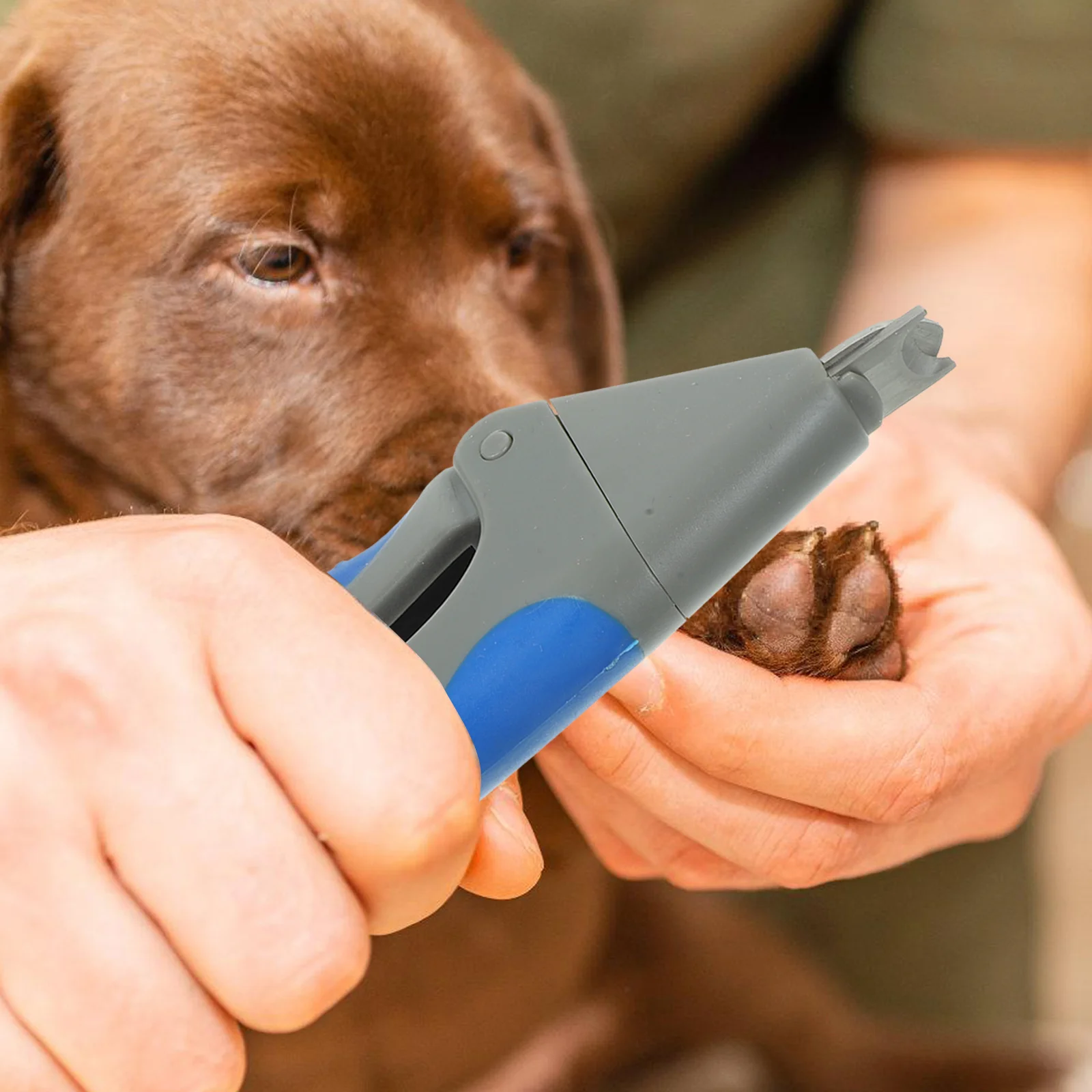 

Pet Nail Clipper Stainless Steel Round Head Safety Guard Prevent Pet Nail Cutter Claw Trimmer for Cats Dogs