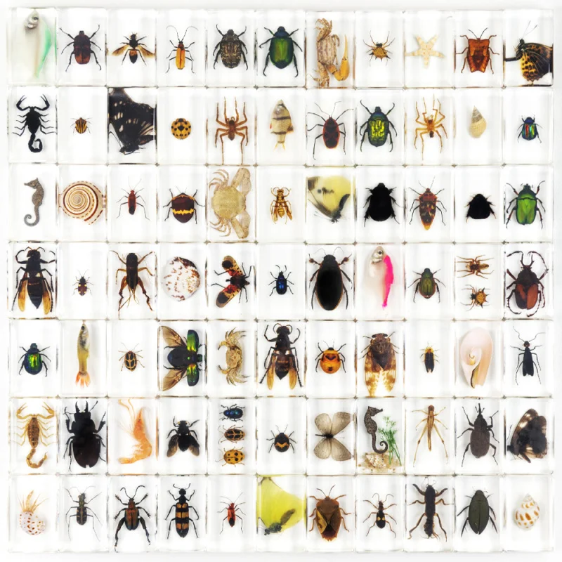 More than 100 kinds of resin epoxy insects, animals, beetle, spider, scorpion, handicraft ornaments.4.5cm