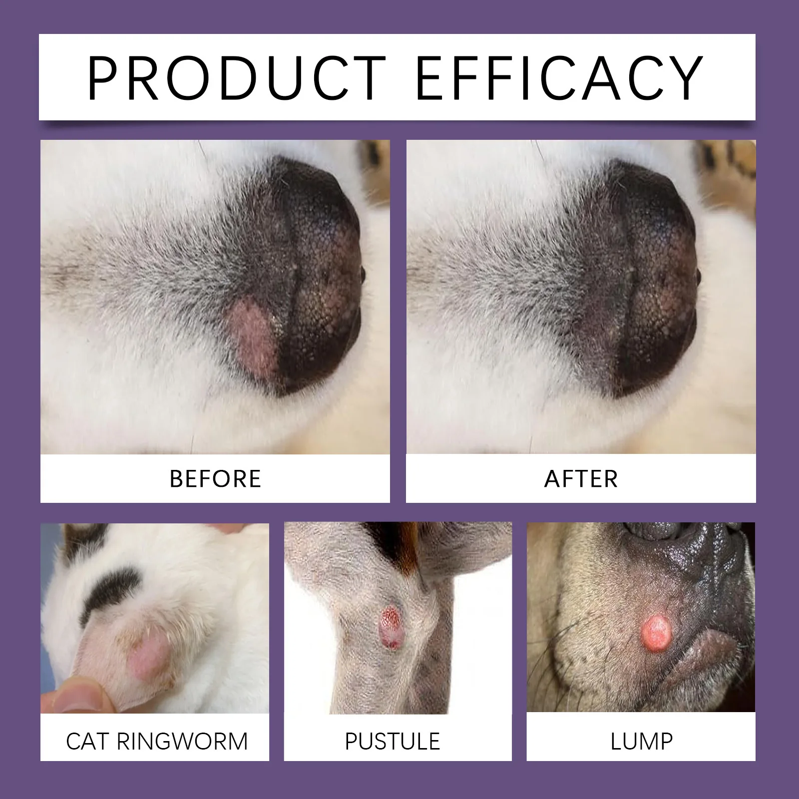 EELJOY Haustier-Hautpflegecreme für Hunde und Katzen, trockene, juckende Haut, lindert beruhigenden Balsam, Anti-Juckreiz-Lotion, Allergie-Behandlung, Pfotenreparatur – Detail 12
