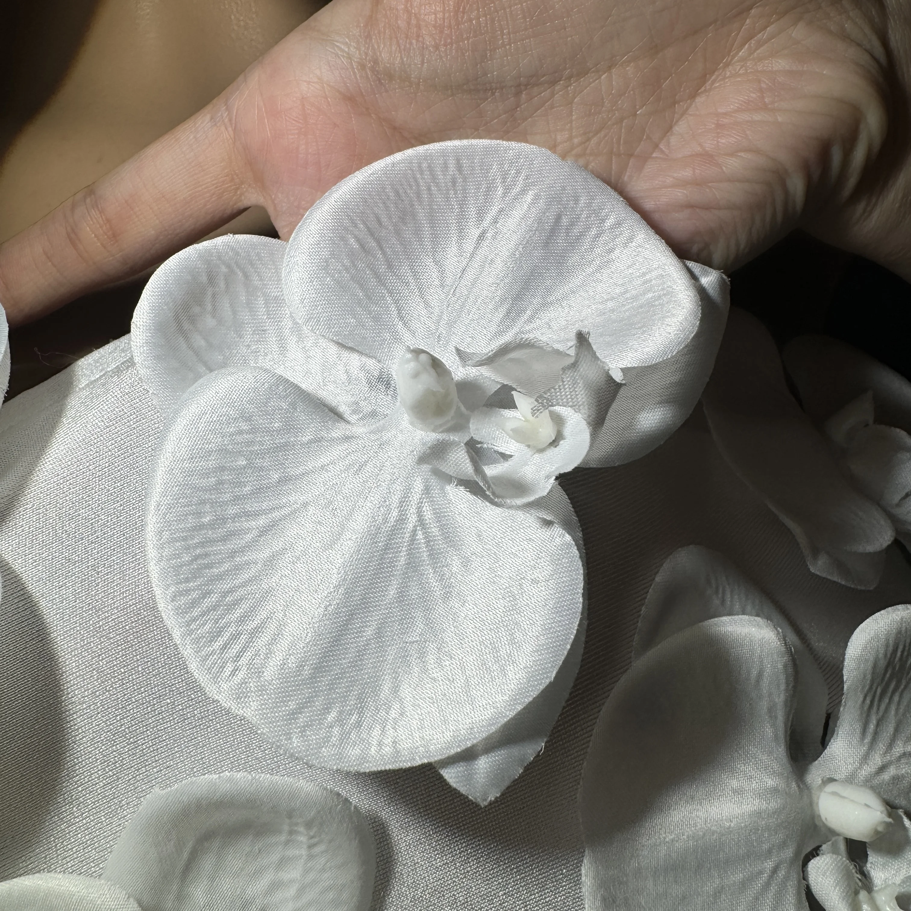 ZDファッションの花柄アップリケドレスは、インフルエンサー、 - Women Fashion Photoshoot のレビューと価格