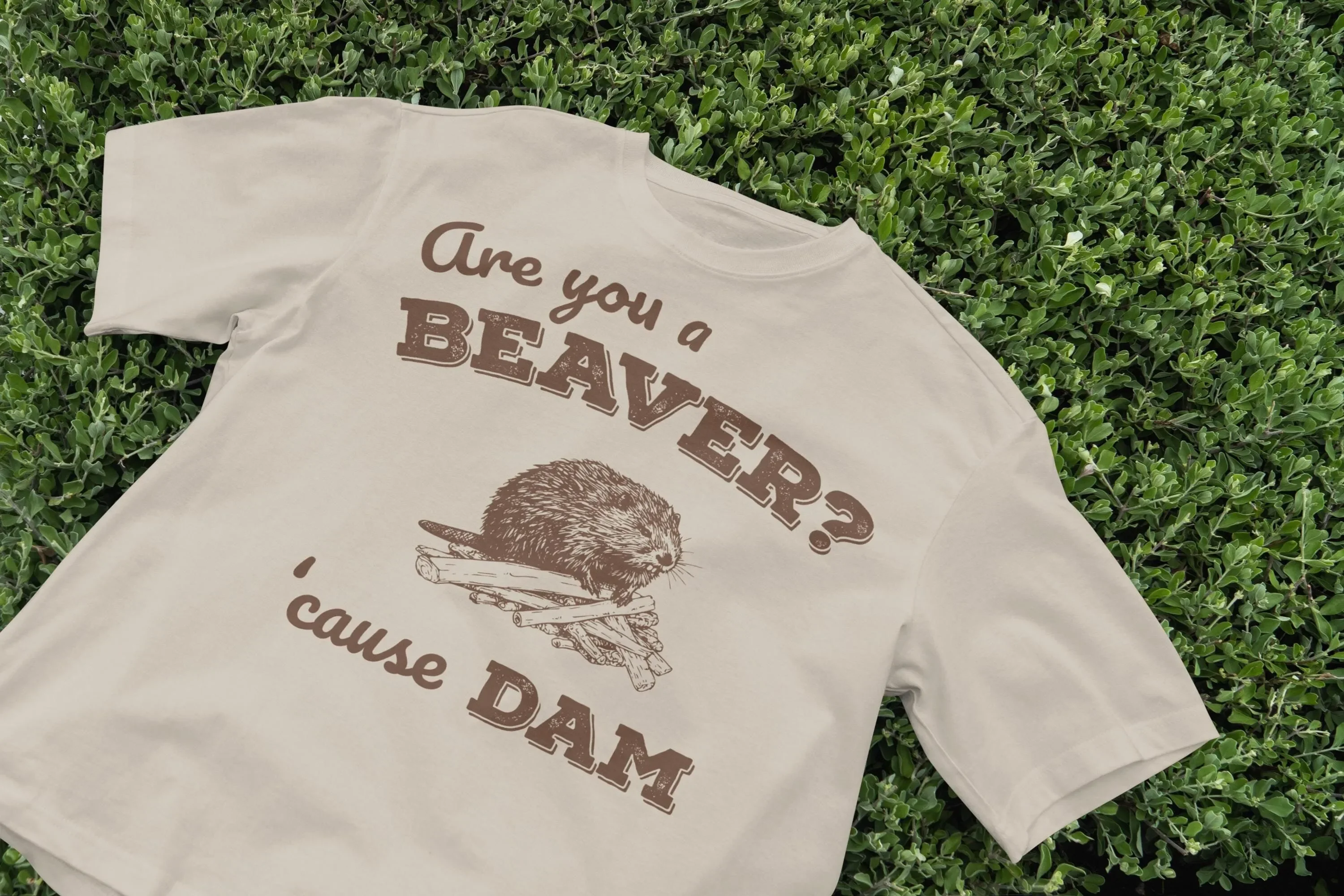 T-Shirt „Are You a Beaver“ – Lustiges, ausgefallenes Tiermotiv im Retro-90er-Jahre-Stil, Vintage-Humor, verspieltes Design