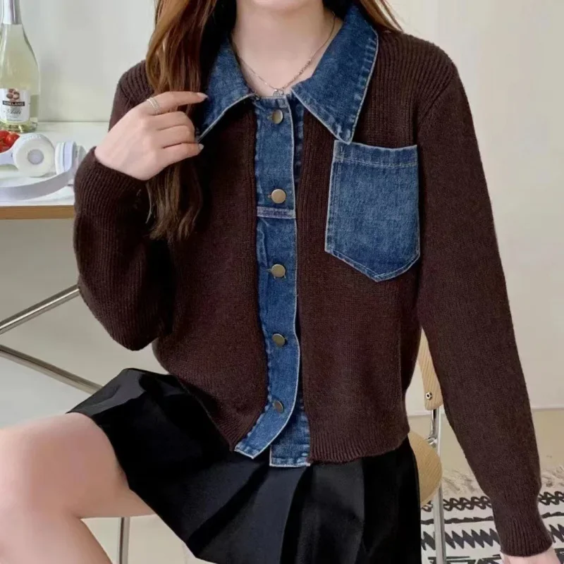 2024 Winter POLO Collar Short Top Women's Fake Two-piece Denim Collar Spliced Jacket