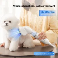 Kit aspiradora 4200 Pa con 3 herramientas para mascotas