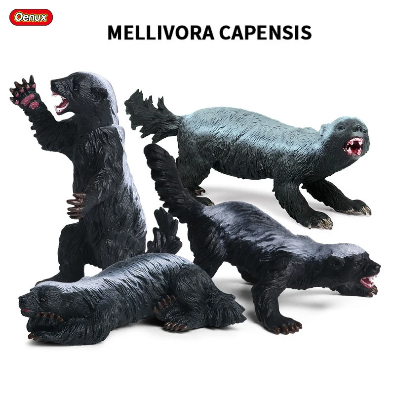 Oenux Simulation New Wild Animals Figurines Honey Badger Mellivora Capensis Model Action Figures Kids Education Gift Toy