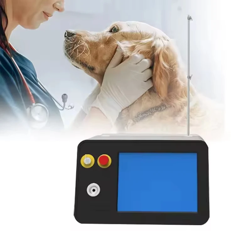 Veterinary Pet Surgery 980nm Laser Machine for Therapy 980 Diode Laser Veterinary Instrument
