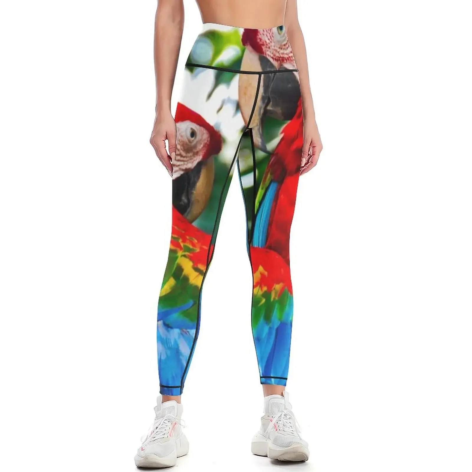 

Parrots in love Leggings Women's gym legings for fitness workout shorts Jogger pants Womens Leggings