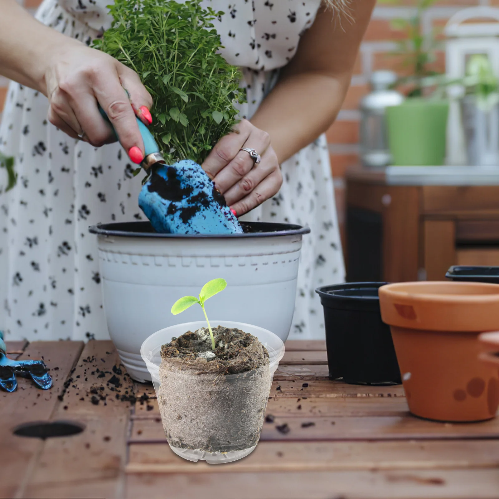 

Control Root Mesh Pot With Drainage Holes Clear Plastic Orchid Planters For Indoor Outdoor Garden Greenhouse Use