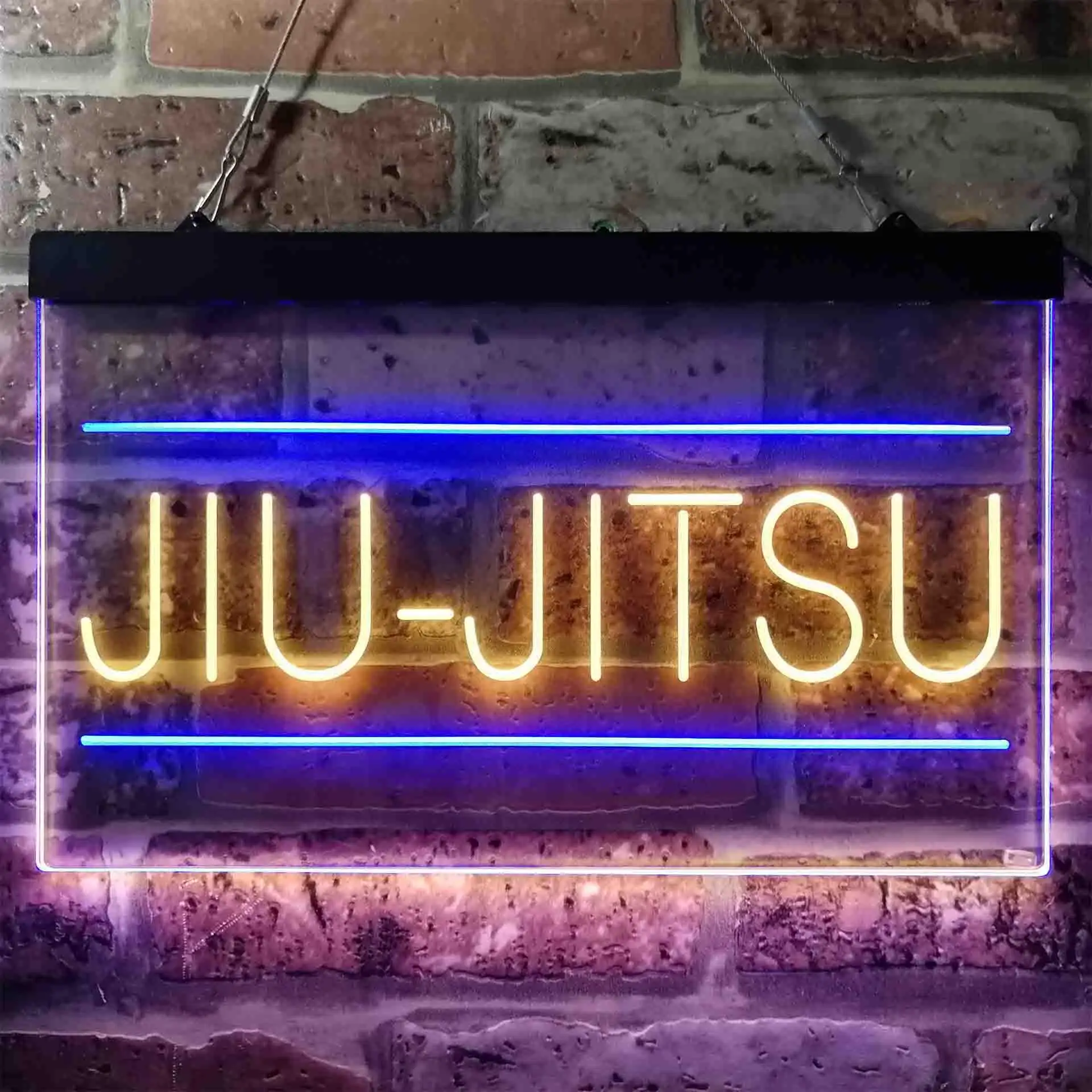 Jiu-Jitsu Brazilian Sport Dual Color Led Neon Sign st6-i3836