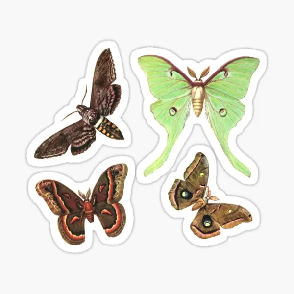 Moths Collection No 2 Pack  5PCS Stickers for Living Room Water Bottles Stickers Window Kid Decorations Print Background Funny