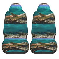 Sea Turtle Print Car Seat Covers Set of 2 Front Bucket Seat Protector Accessories Universal Fit Most Cars Trucks