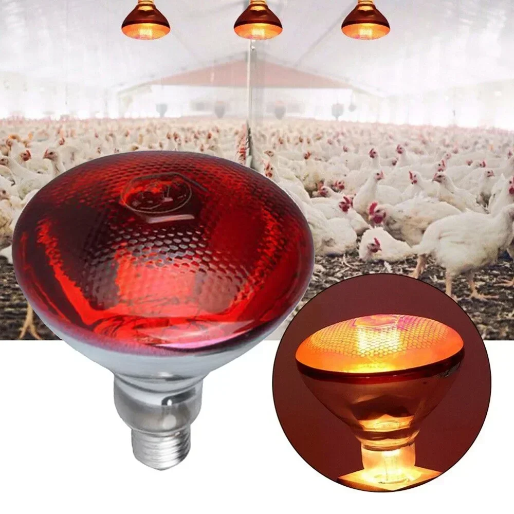 Lâmpada de aquecimento para aves, 220v, 100/150/200/275w, isolamento infravermelho, calor para répteis, plantas, anfíbios, animais de estimação,