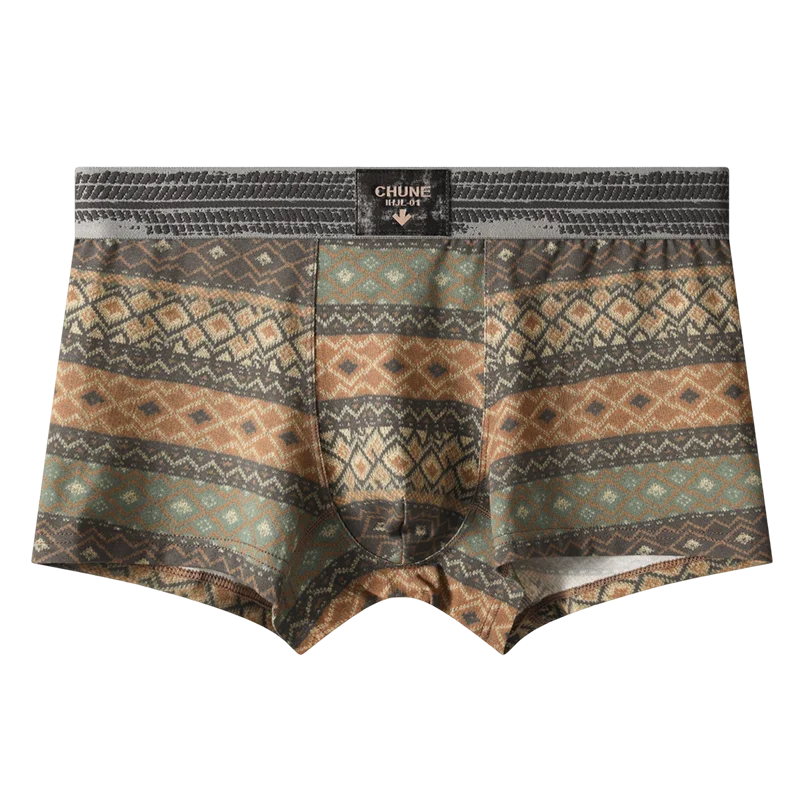 3-Pack Men's Underwear Men's Boxer Briefs Youth Sports Shorts Breathable Pure Cotton Stylish American Retro Men's Briefs