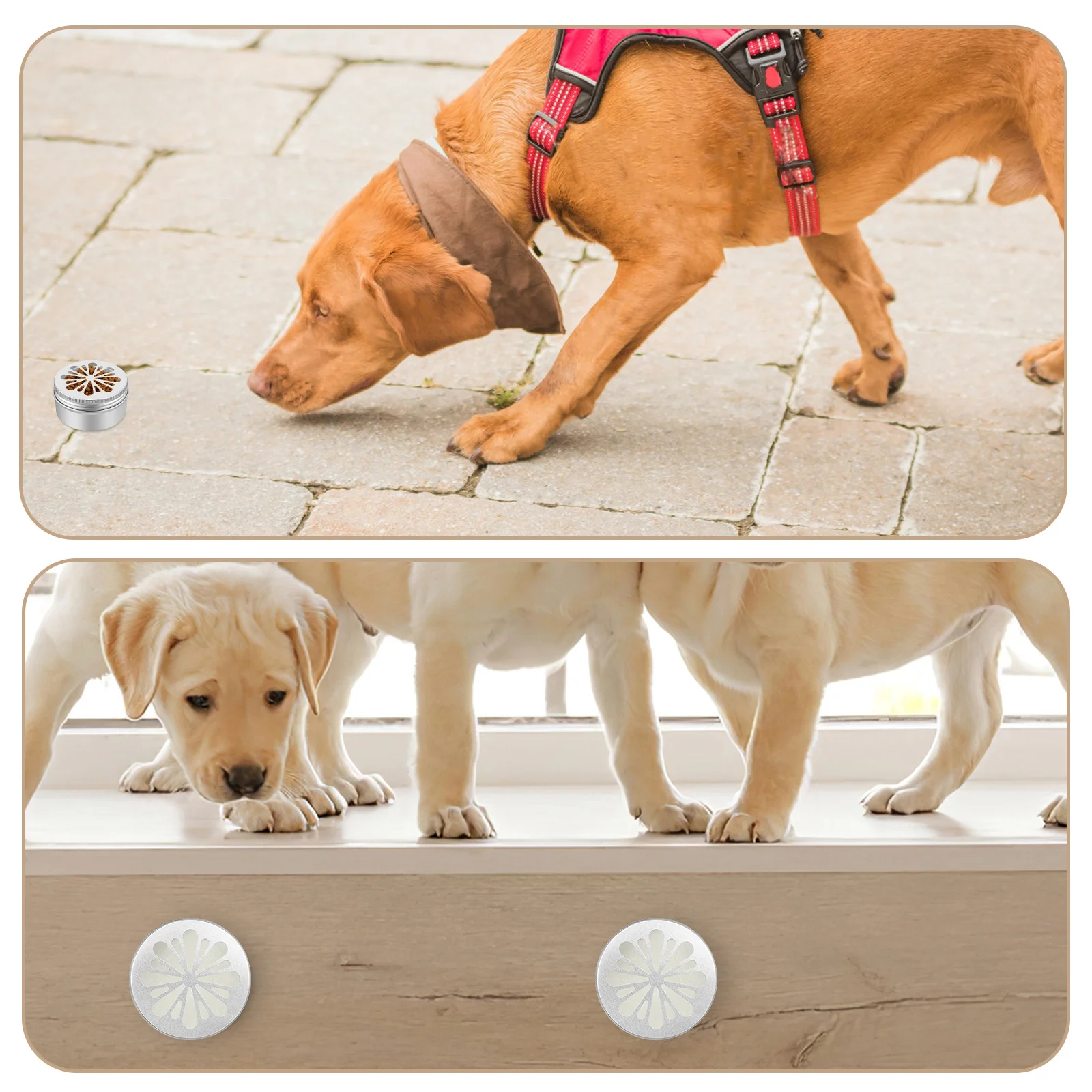 1 Set Dog Training … - image