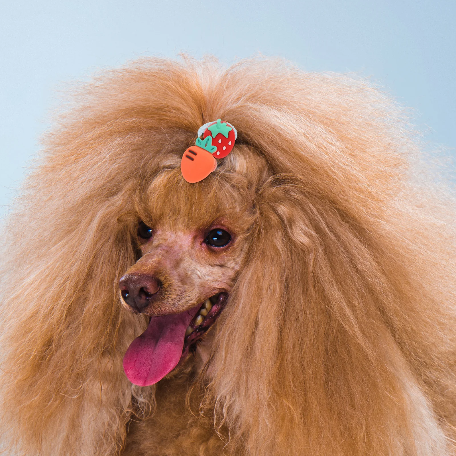 

10 Pcs Elastic Dog Hair Band Ropes Cute Ties Cartoon Small Ponytail Holder Accessories