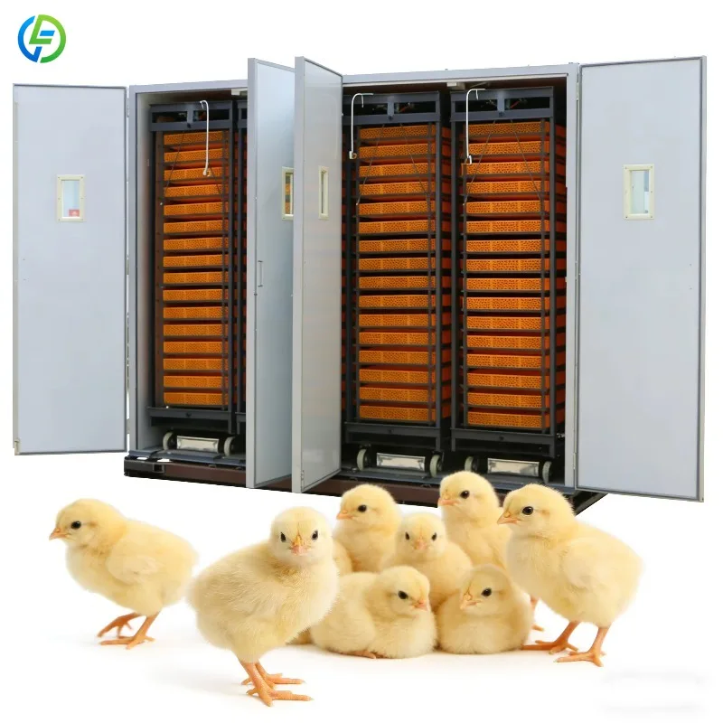 Customized Large Incubator with 16,000 Hatchey Incubator and Hatching Combined Machine for Chicken Duck Goose