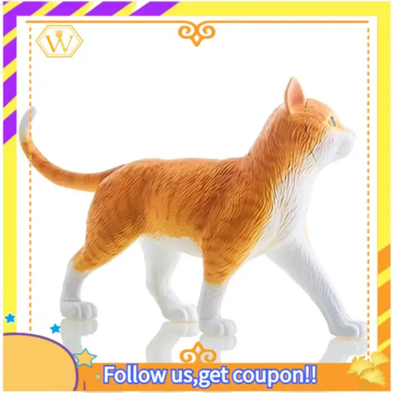 Latest-Animal Organ Anatomy Model 4D Cat Intelligence Assembling Toy Teaching Anatomy Model DIY Popular Science Appliances Easy