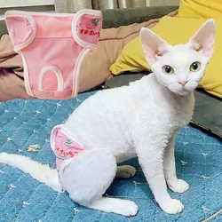 Sphynx-pañales con estampado dulce para gato, pantalones fisiológicos para mascotas, pantalones cortos para gatos, ropa interior para gatos, suministros para mascotas