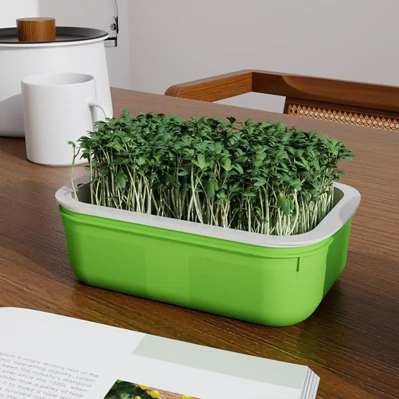 Compact Plastic Germination Tray Double Layer with Grid for Kitchen Sprout Cultivation