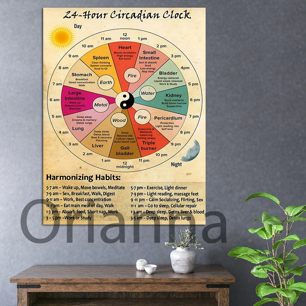 Modular 24 Hour Circadian Clock Harmonizing Habits Poster Prints Vintage Canvas Painting Home Decor Wall Artwork For Friend Gift