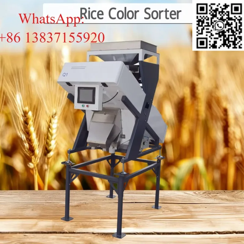 Custom Commercial Color Sorting Machine Coffee Bean Cocoa Nuts Rice Grain Hazelnut Walnut Olive Seed Sorter