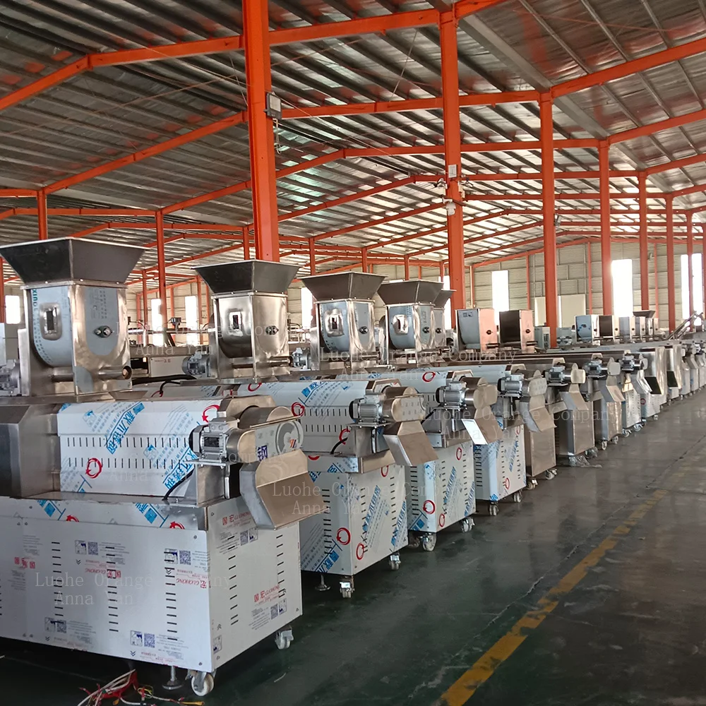 자동 산업용 수족관 캣피쉬 사료 부유/침강형 제조 기계 애완동물 사료 제조 공장 사료 압출기