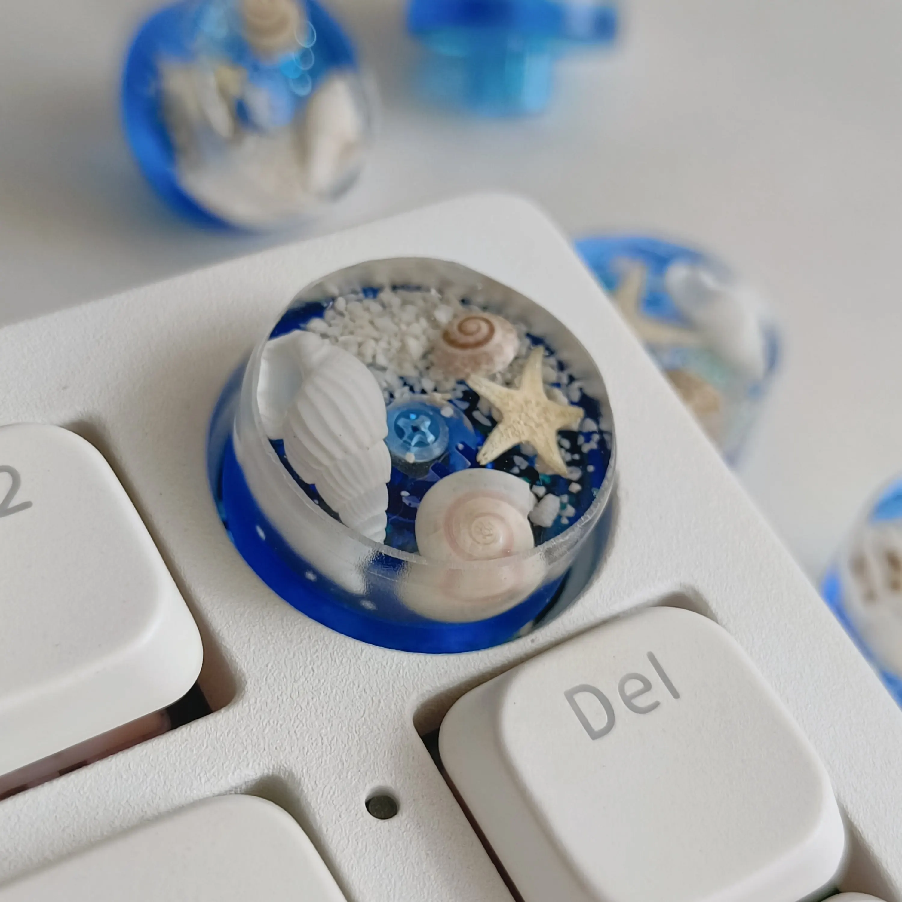 Perilla de Teclado F75 F98 Personalizada Tipo D, Resina con Conchas Marinas Naturales y Estrellas de Mar de 6mm, Accesorios para Perilla de Volumen de Teclado Mecánico