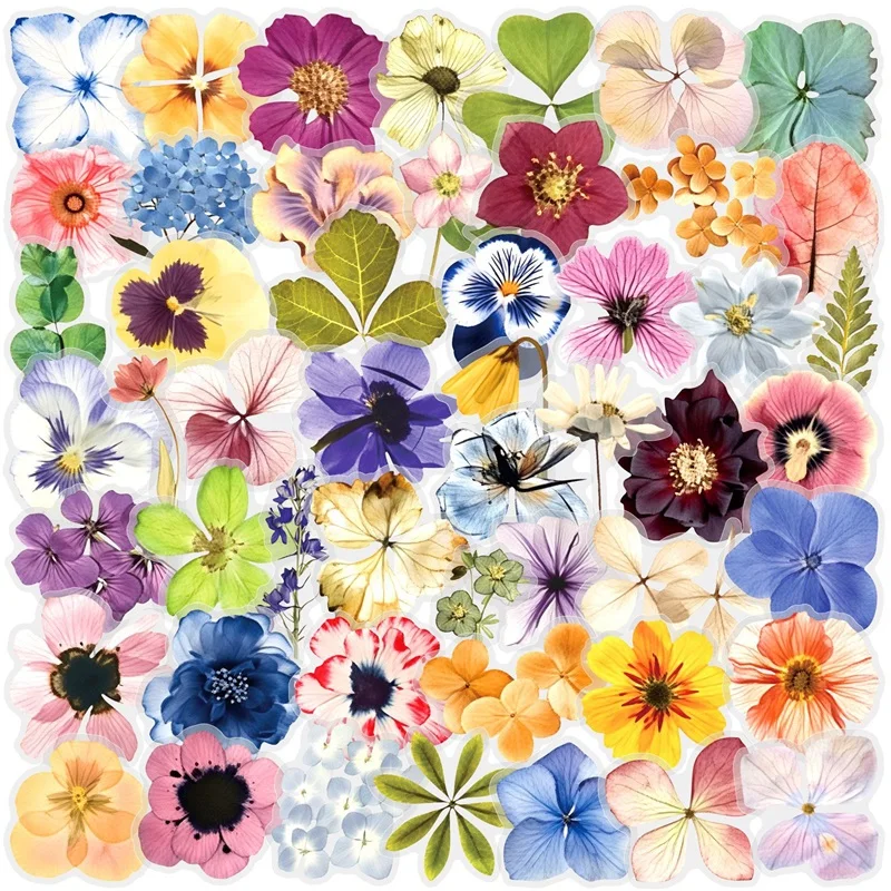 50PCS Colorful Embossing PET Sticker Aesthetic Hand Accounting Transparent DIY Decoration Scrapbooking Supplies