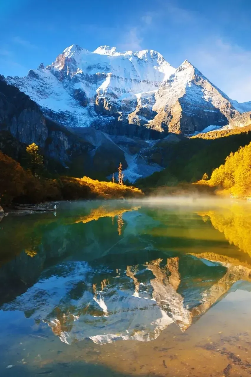 

For Toyota Corolla 2017-2018 Black Under Engine Guard Plate Splash Shield Mud Fender Cover Mudguard Protector