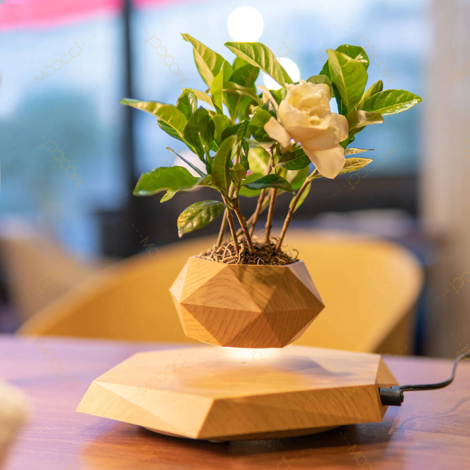 

Современный простой домашний декор, вращение, магнитная левитация, плавающий цветочный горшок, лучший подарок для влюбленных, умные горшки на годовщину свадьбы