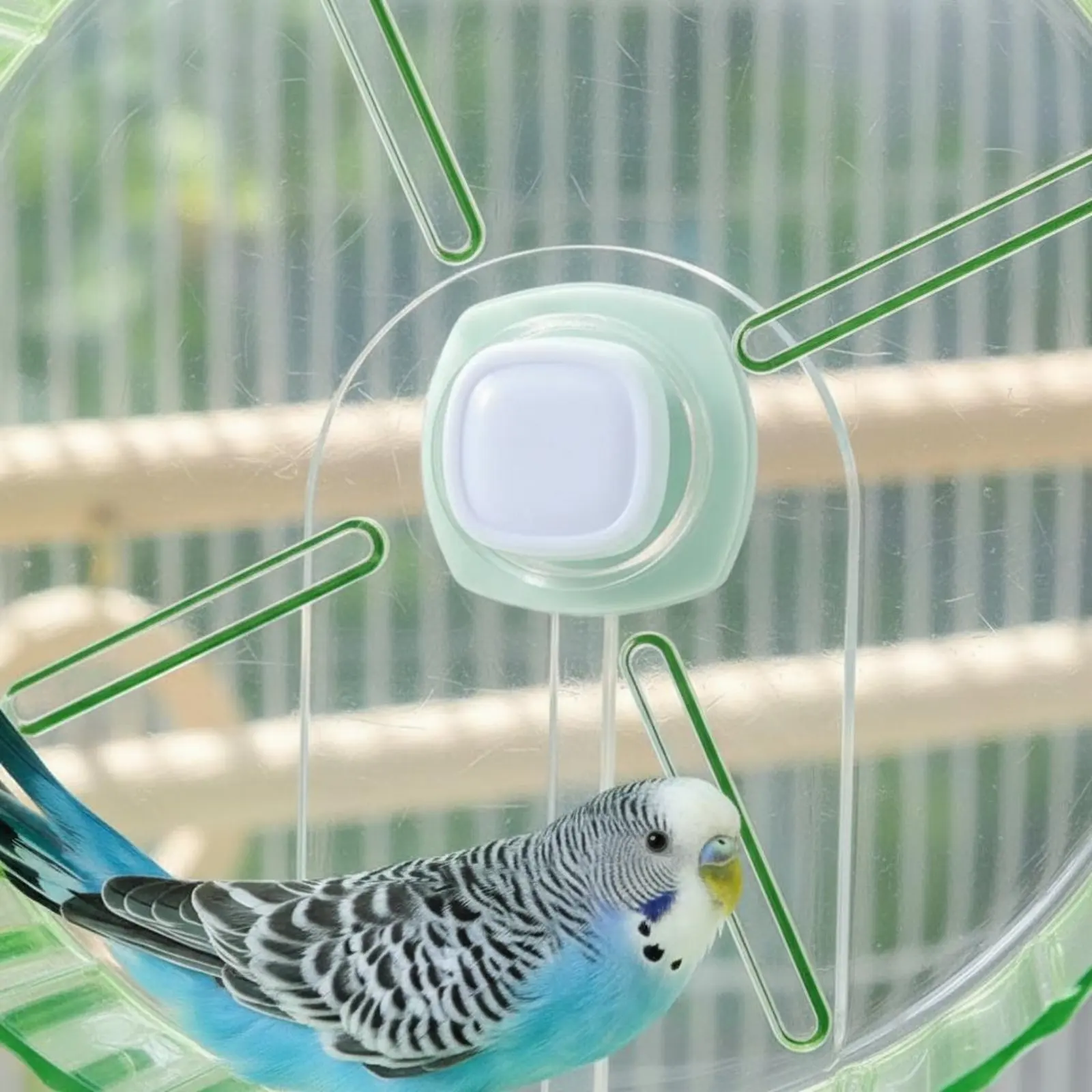 Rueda giratoria para aves y periquitos Juguete de ejercicio silencioso - imagen 3