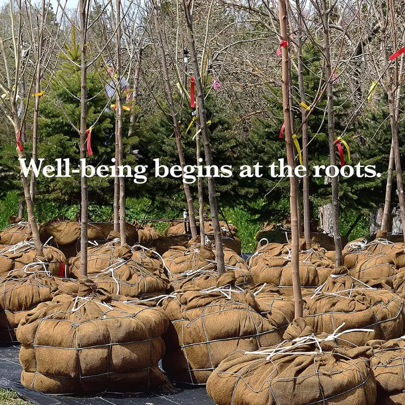 

Y51A-рулон ткани для уличных растений-мешковики для растений-защита от замерзания-зимнее морозовое одеяло для кустков деревьев в горшках Pla