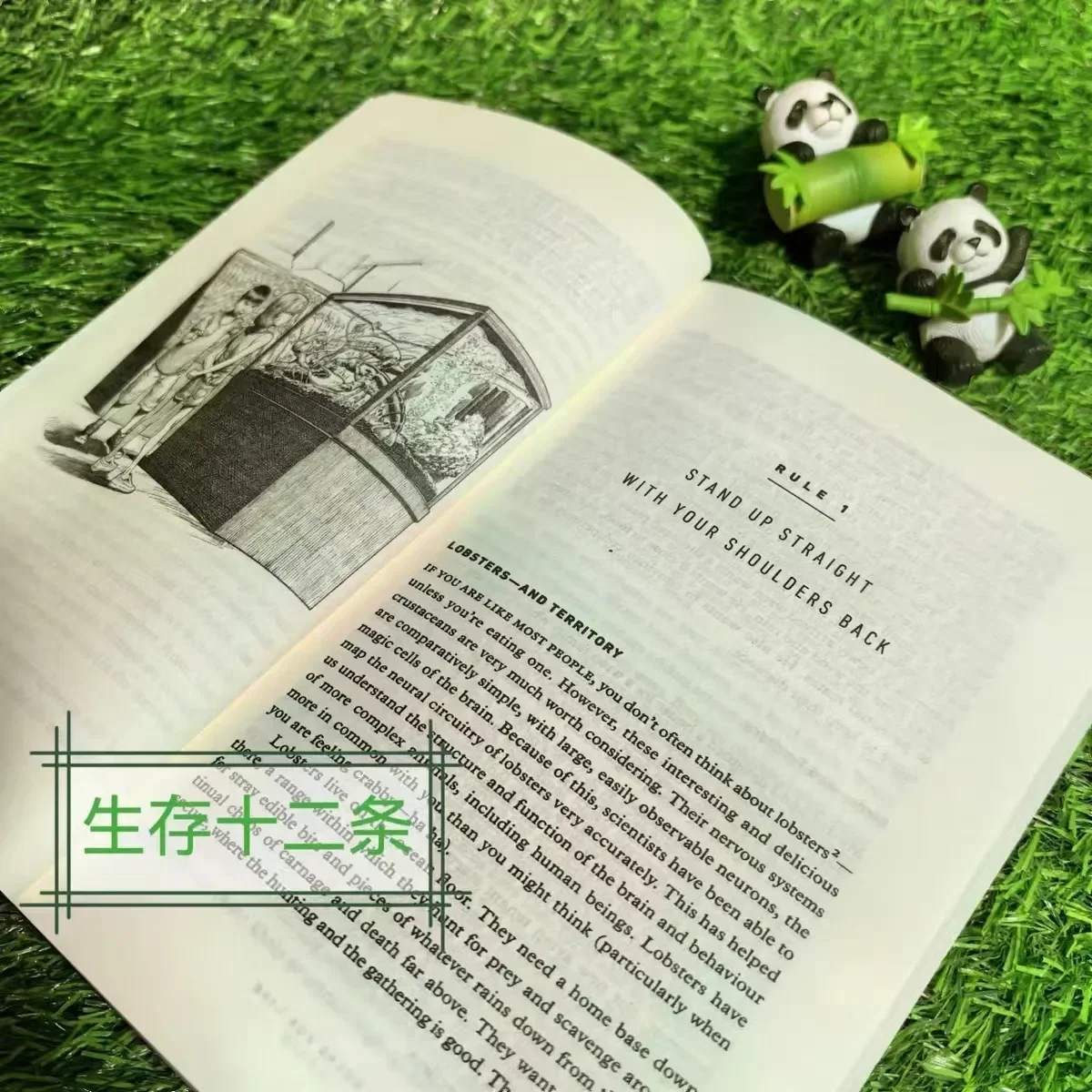 Twelve Rules: 12 Rules for Life: An Antidote To Chaos - Jordan Peterson's Guide To Philosophical Thinking and Practice